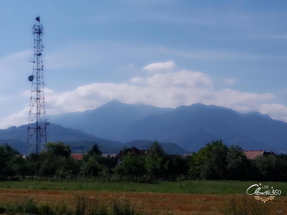 Cazare Apartament Rasnov Apartment Bagian luar foto