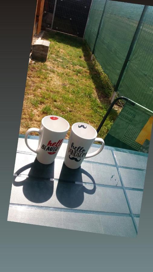 Cazare Apartament Rasnov Apartment Bagian luar foto