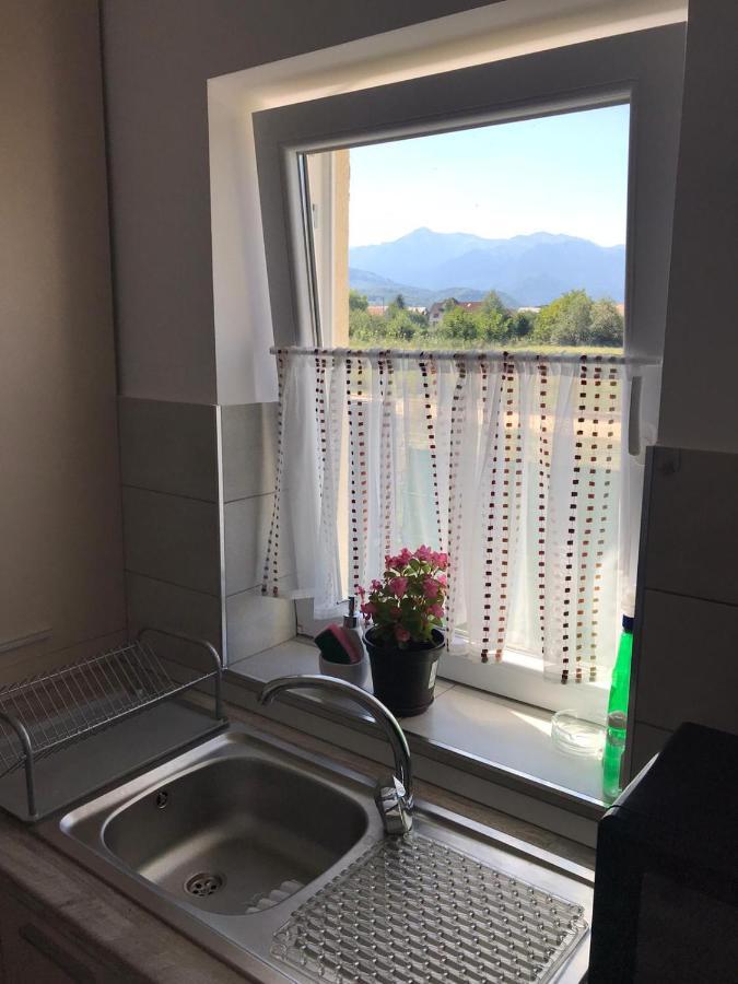 Cazare Apartament Rasnov Apartment Bagian luar foto